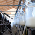 Productores garantizan abastecimiento de leche durante la cuarentena 