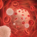 Blood Platelet structure and functions in hemostasis