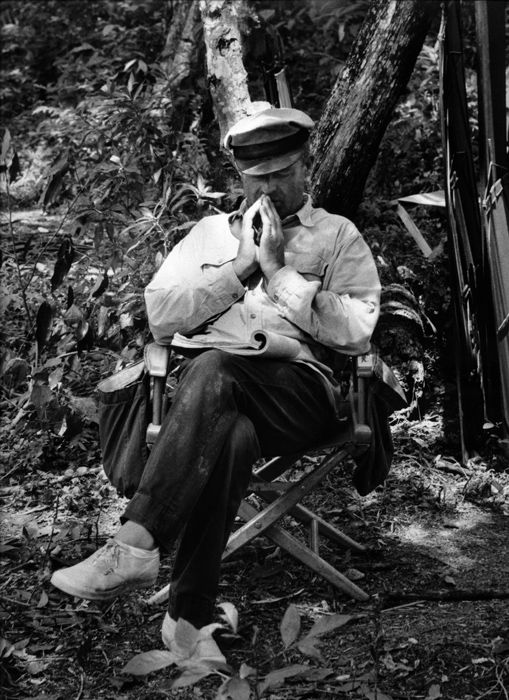 My Life In A Year With Archie&hellip; My Favourite Film of the