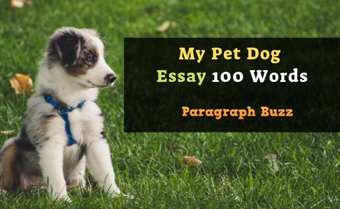 My Pet Dog Essay 100 Words | Short Essay – Paragraph Buzz