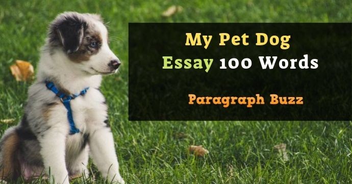 Puppy love meaning picture