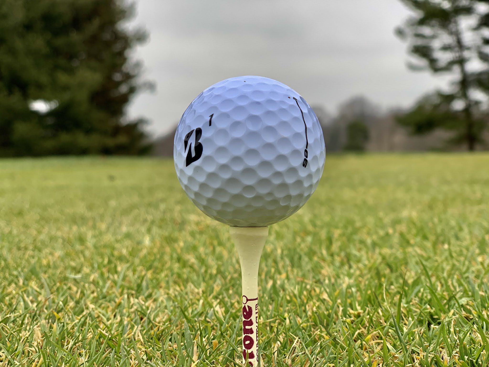 The 1 Writer in Golf Bridgestone Golf 2021 e6 Golf Ball Review