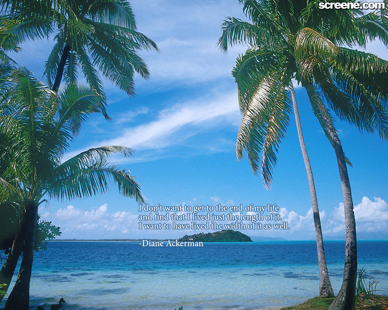 Roles in family. The main functions of the family. презентация ьуьиукы ща еру афьшдн. Sampling рисунок. Each member.