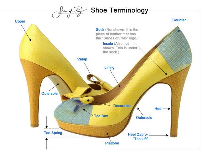 Anatomy of a High Heel & Parts You Need to Know – Footwear News