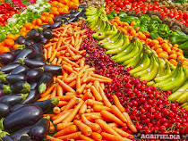 Organic Farming in hindi 