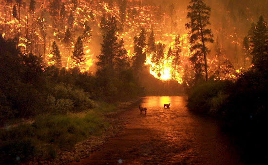 Que significa soñar con incendio