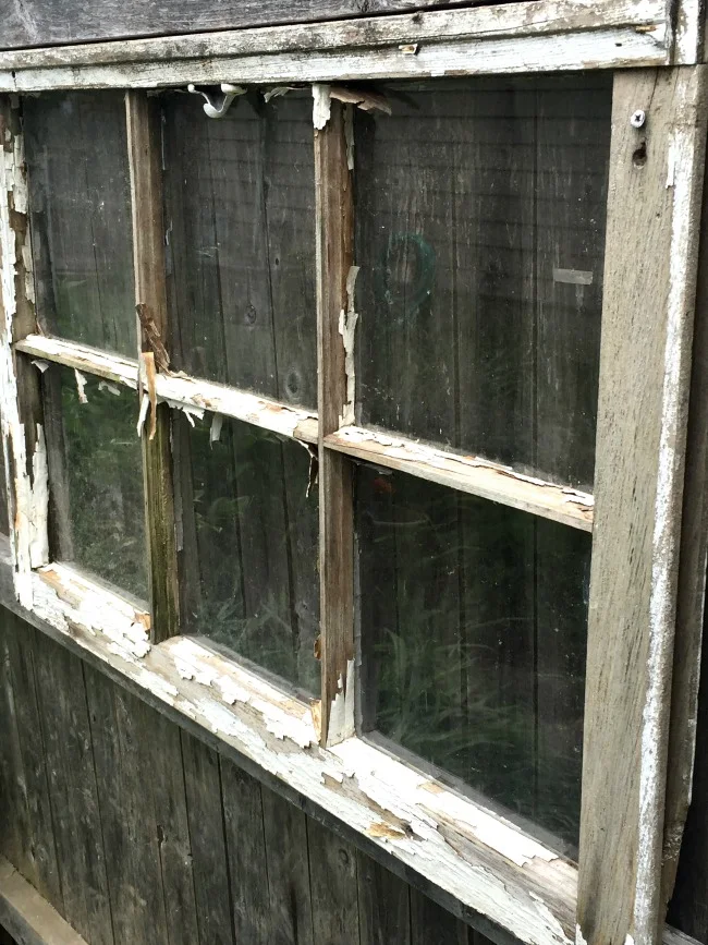 Chippy window against a fence