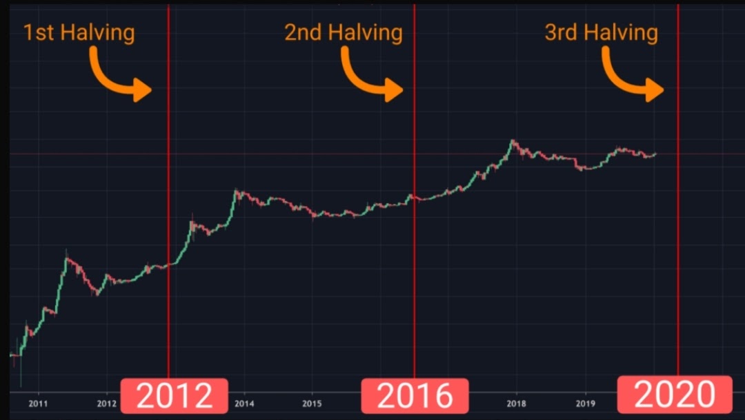 What Is Bitcoin Halving Bitcoin Halving Price Prediction What Is Bitcoin Halving Bitcoin Halving Price Prediction