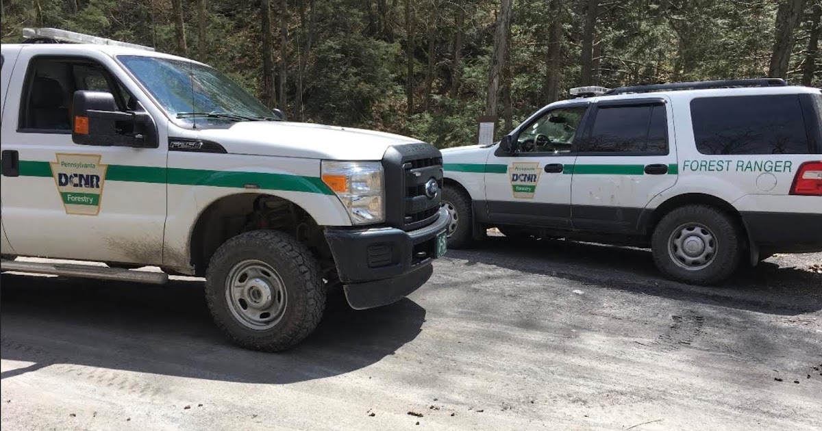 PA Environment Digest Blog Newport Twp. Police, DCNR Take On 40 ATV