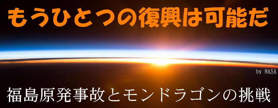 もうひとつの復興は可能だ－－福島原発事故とモンドラゴンの挑戦－－