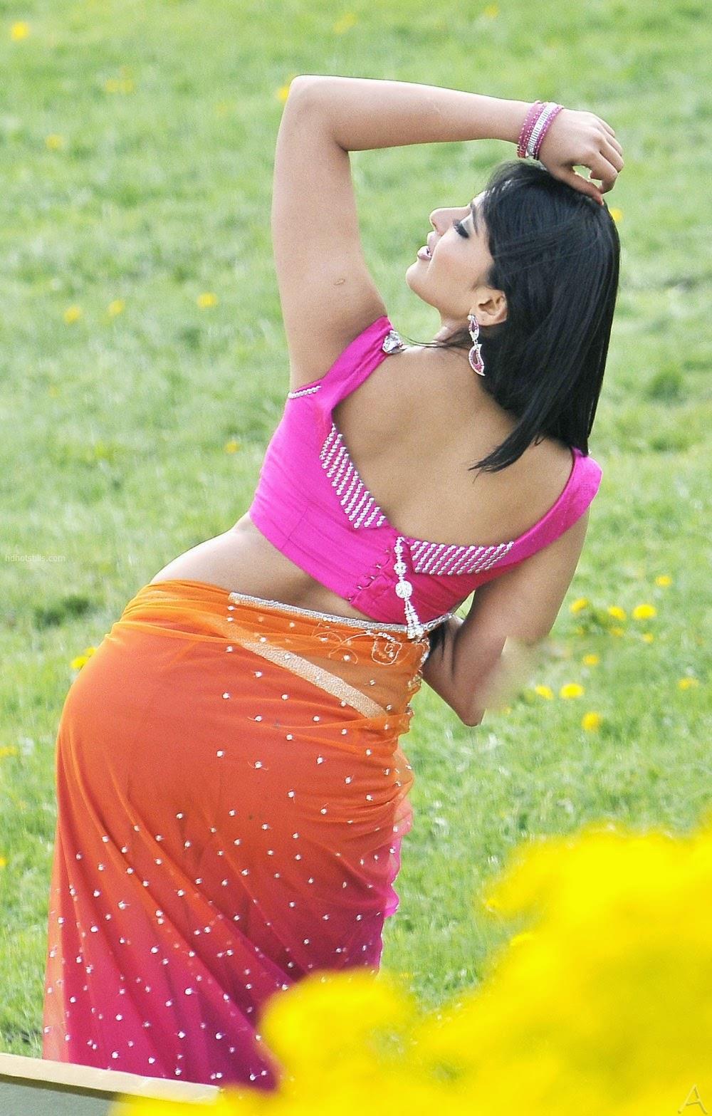 Telugu Actress Anushka Shetty Hot Back Photos Indian Actress Wallpapers Photos And Movie Stills