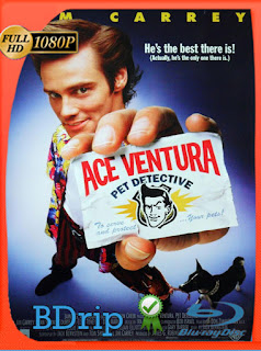Ace Ventura (1994) BDRip [1080p] Latino [Google Drive] Panchirulo