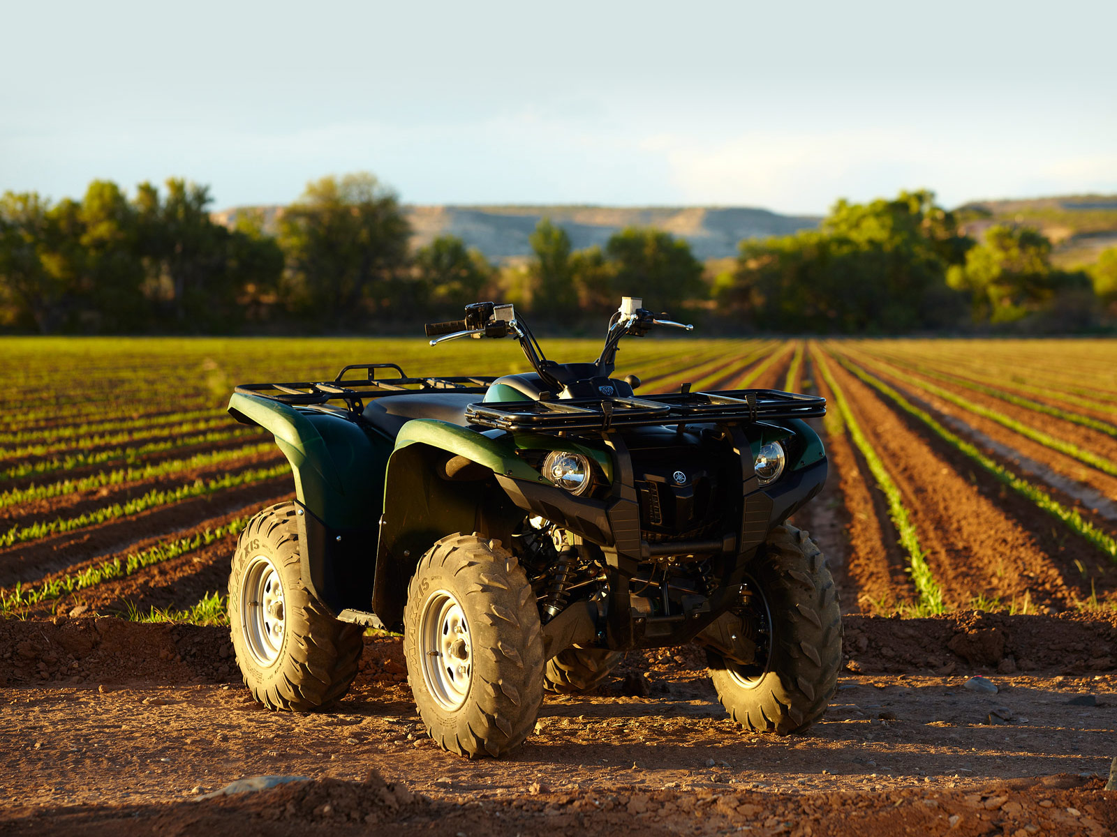 2012 YAMAHA Grizzly 700 FI Auto 4x4 EPS wallpapers