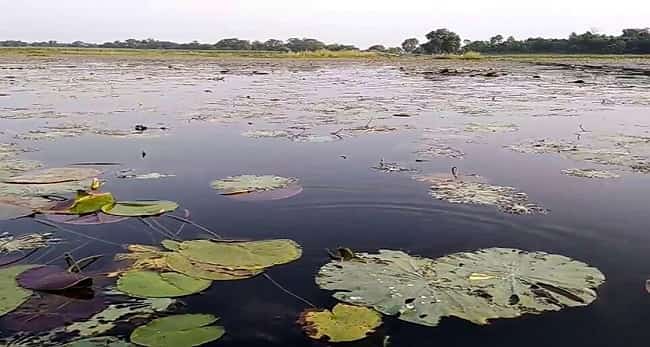 Lakes in Bihar