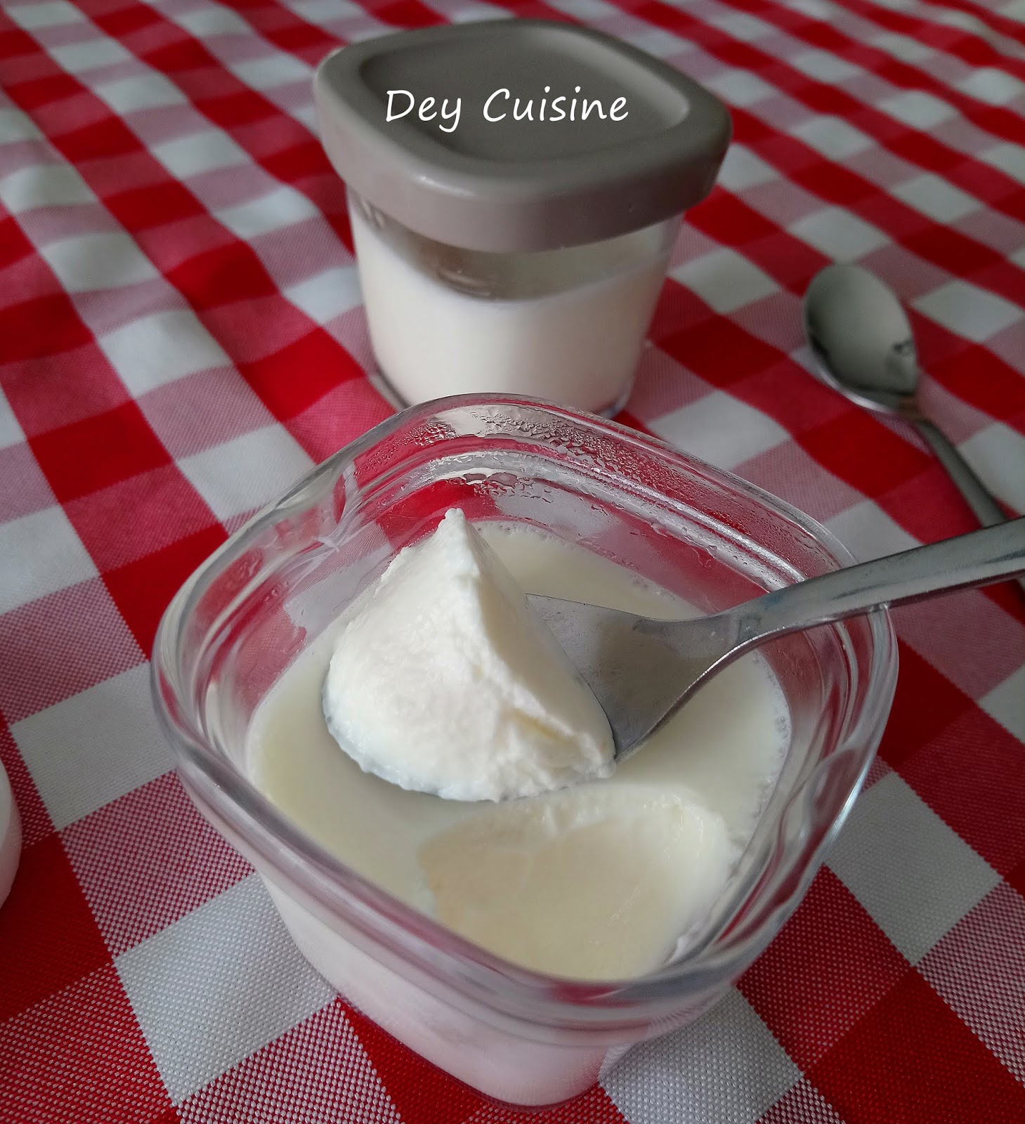 Yaourtière multidélice Seb : recette yaourts extra ferme à la