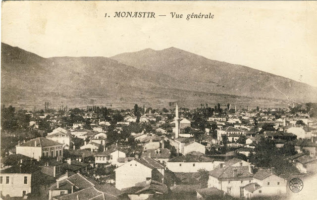Panorama of the city toward Pelister