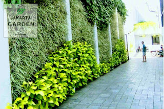 Jasa Pembuatan Vertical Garden Jakarta