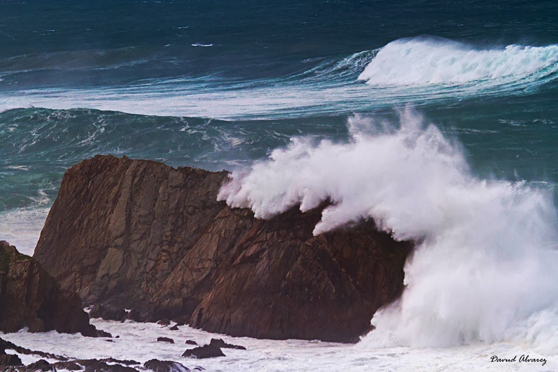 La fuerza de la mar La fuerza de la mar