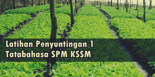 Latihan Penyuntingan 1 Ejaan, Imbuhan, Istilah, Tatabahasa & Tanda