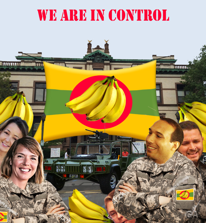 Banana Republic council strips mayor's power in order to hire political