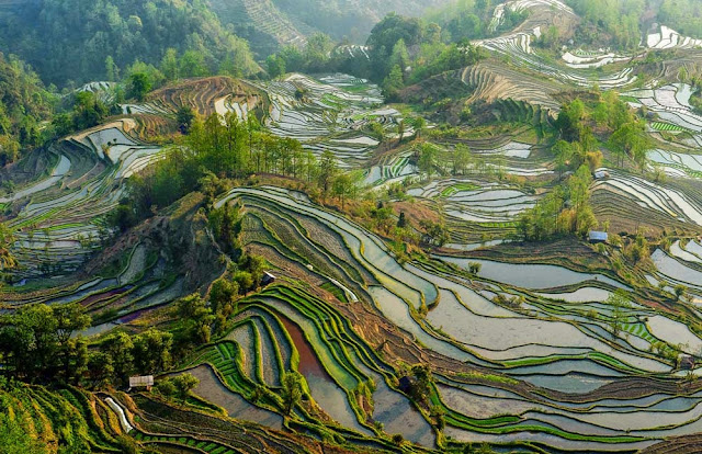 Honghe Hani terraces - China