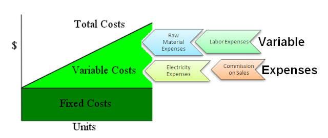What are variable expenses accounting education