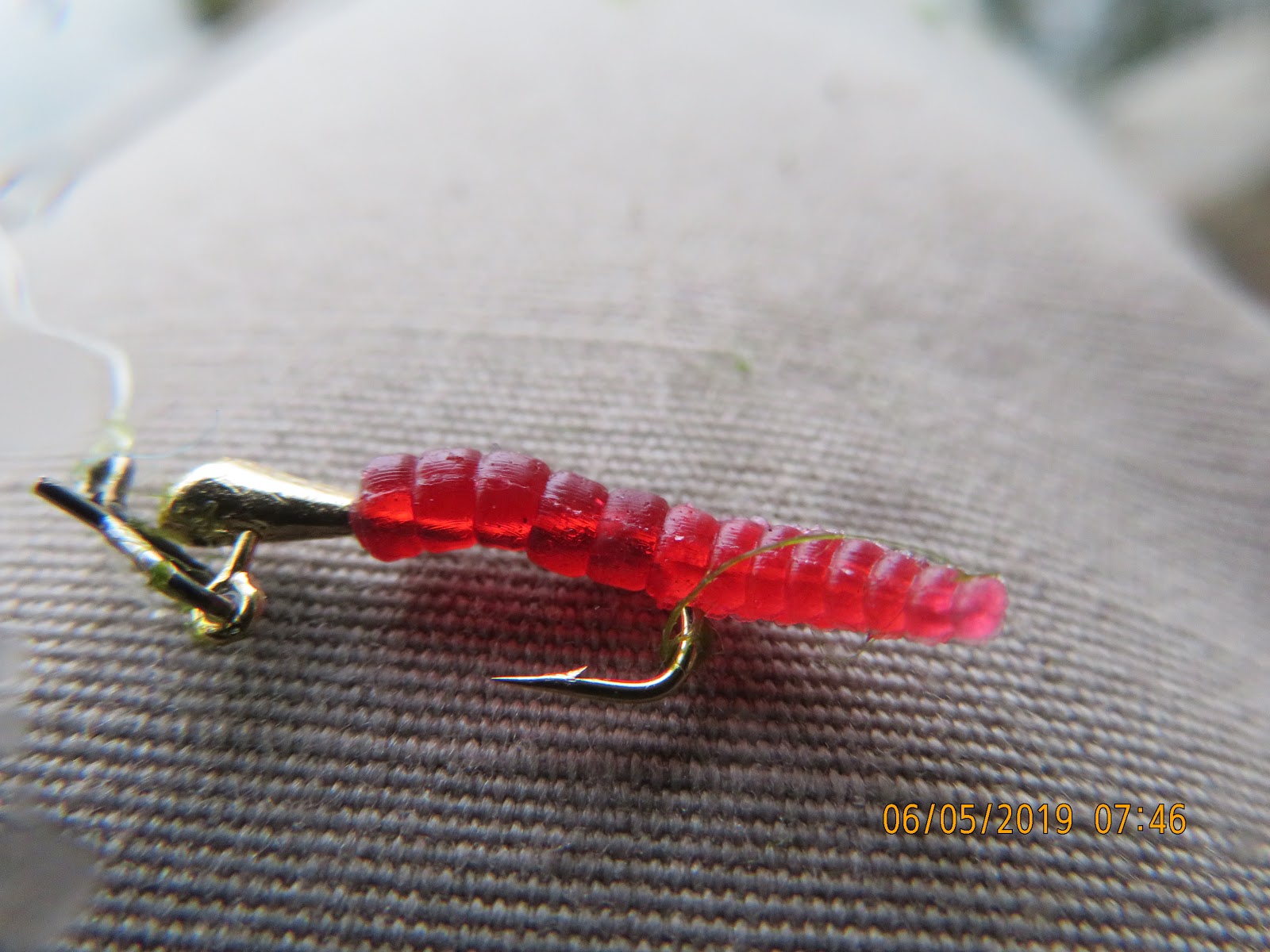 The Great Lakes of NYC Mini Trout on a fly rod in Prospect Park