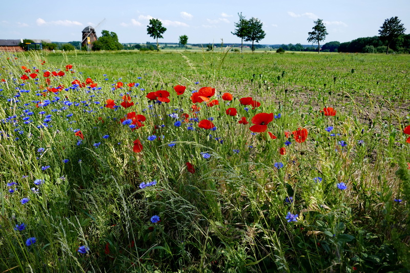 Intwoo Designstudio Pfeifer Rossler Salzwedel