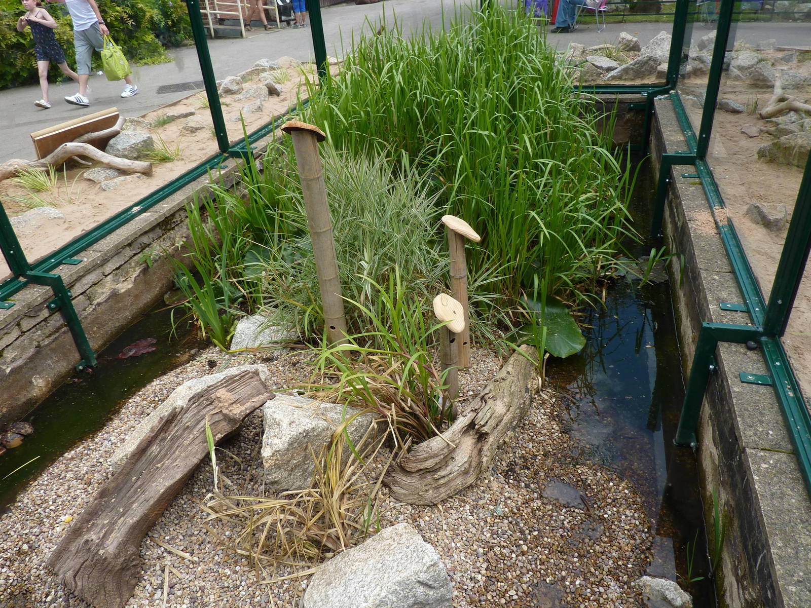 Trabajar en el zoo: Cuidados del ratón espiguero