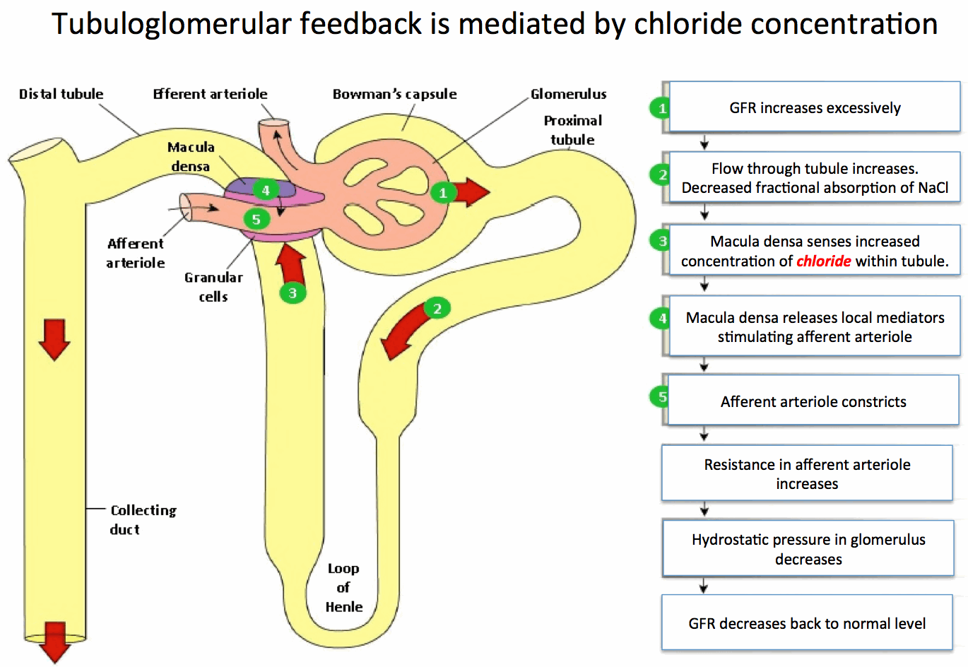 Fluid Wars & NephMadness with Joel Topf and Friends The Curbsiders
