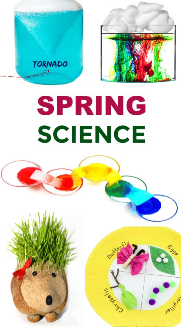 Spring Science For Kids