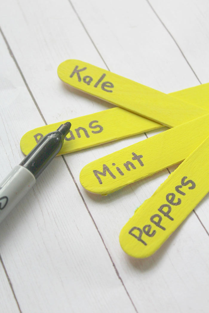 Easy Homemade Glow in the Dark Garden Markers Sunny Day Family