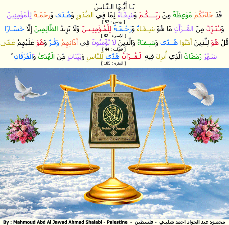 سور القرآن الكريم وآياته بالصور