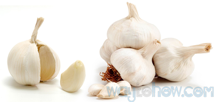 Waytohow Com Digital Use Beauty How To Use How To Stop Hair