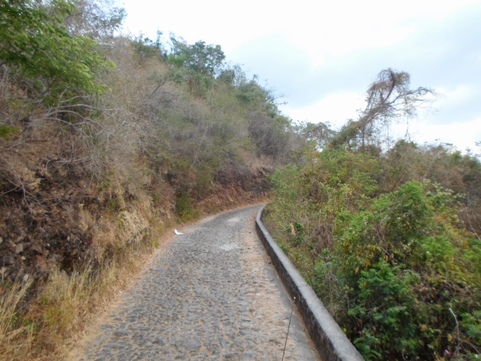 LA CULTURA DE EL SALVADOR. EL IMPOSIBLE. BOSQUE. AHUACHAPÁN. EL SALVADOR