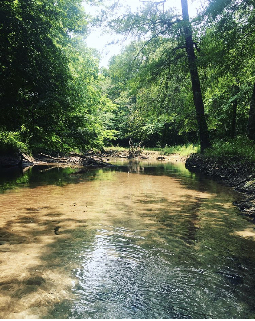 Beautiful Places Blue Springs State Park Alabama