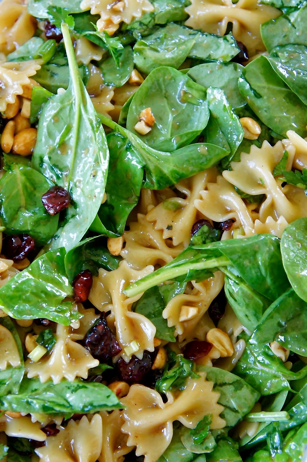Spinach Pasta Salad: Savory Sweet and Satisfying