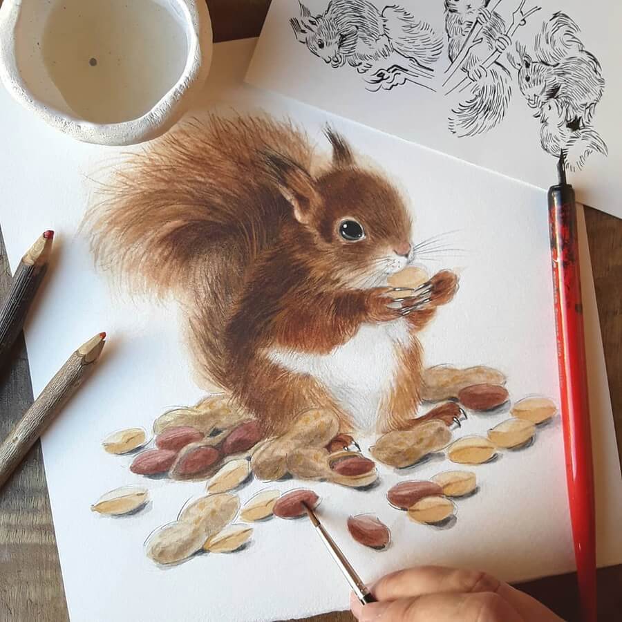 04-The-red-squirrel-Anna-Llorens-www-designstack-co