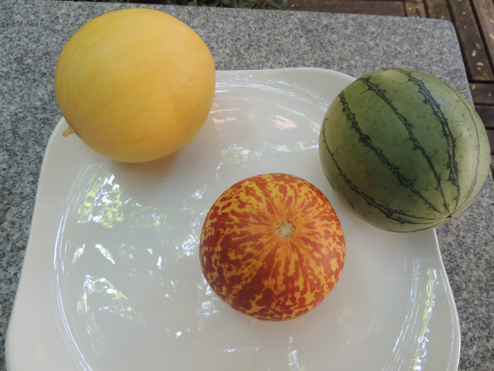 Green Roof Growers Mad for Melons