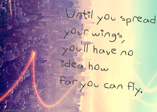 Fly Before You Fall by Cynthia Erivo