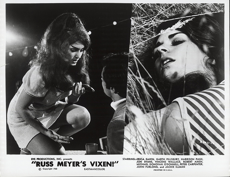 Vixen Movie 1968 Online