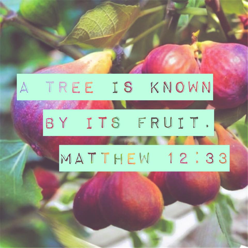 Growing Up In The Word Bearing Good Fruit