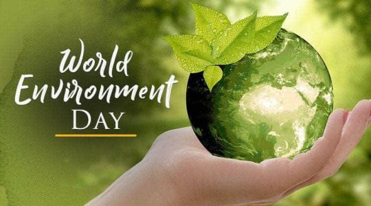Essay competition on World Environment week