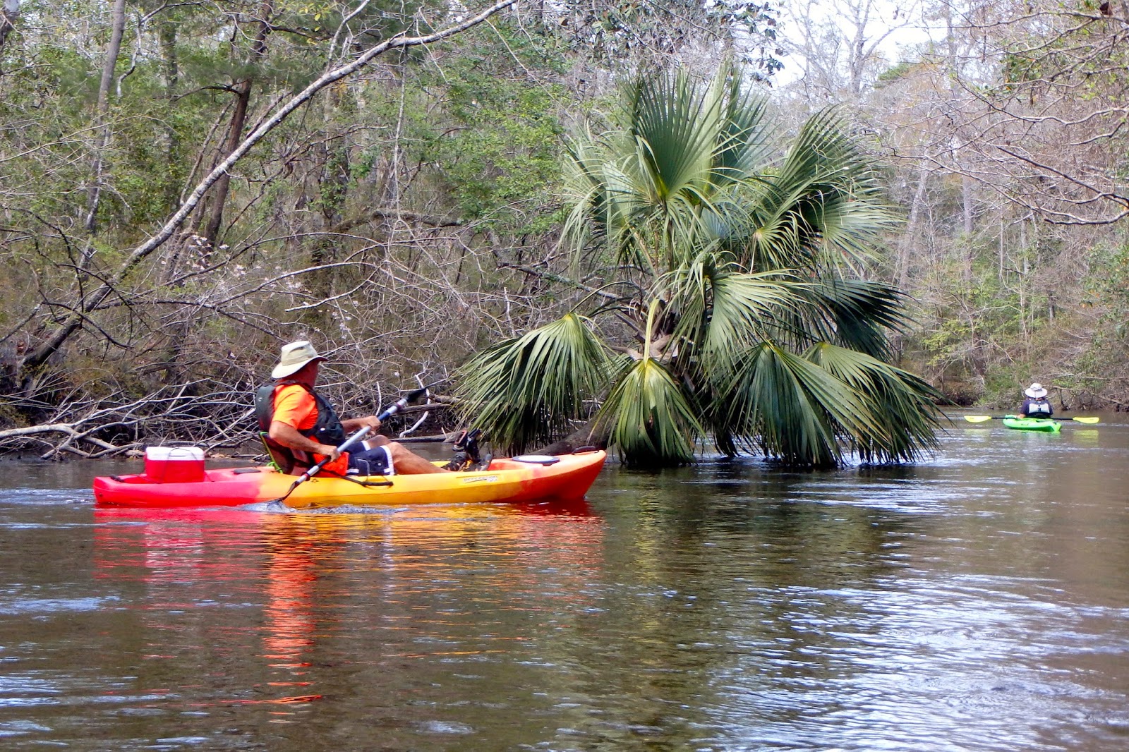 Kayak Yakking and More Kayaking Econfina Creek Tadpoles!
