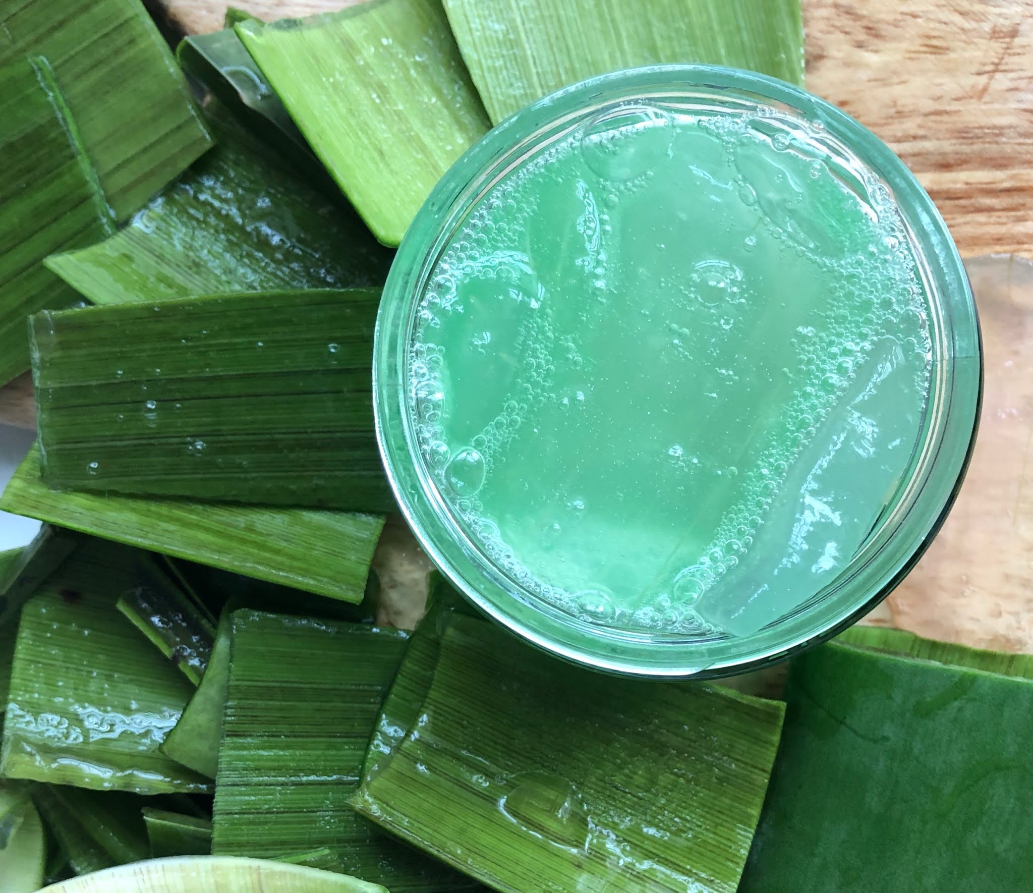 DIY ALOE VERA GEL LEAVEIN CONDITIONER
