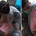 Viral di Instagram, Foto Pasukan Garda Depan Covid-19 yang Peluk Erat Putrinya yang Dibungkus Plastik Sembari Menangis