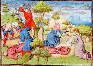 Symphytum : Basilico...