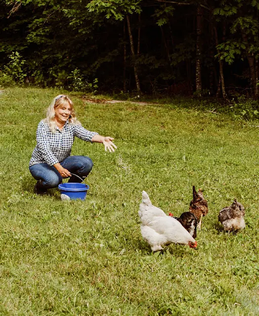 blond woman in blue gingham shirt tossing feed to chickens