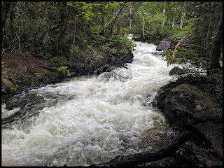 Bells Canyon Stream in June 2019