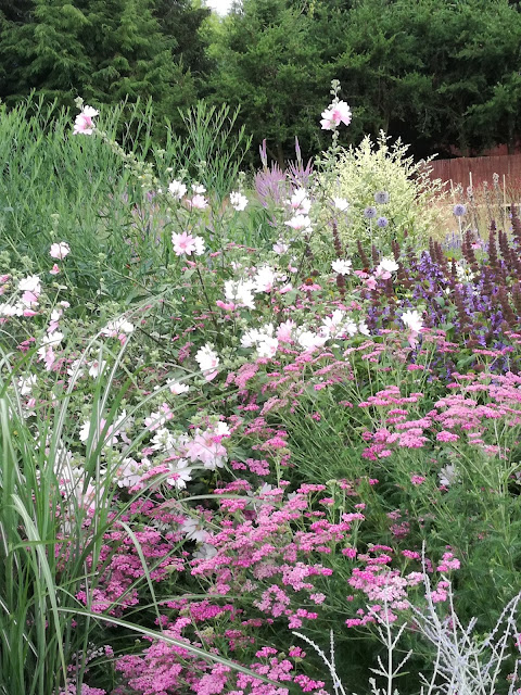 rabata bylinowa, perennial border, trawy w ogrodzie